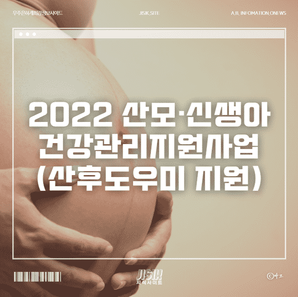 2022 산모 신생아 건강관리지원사업