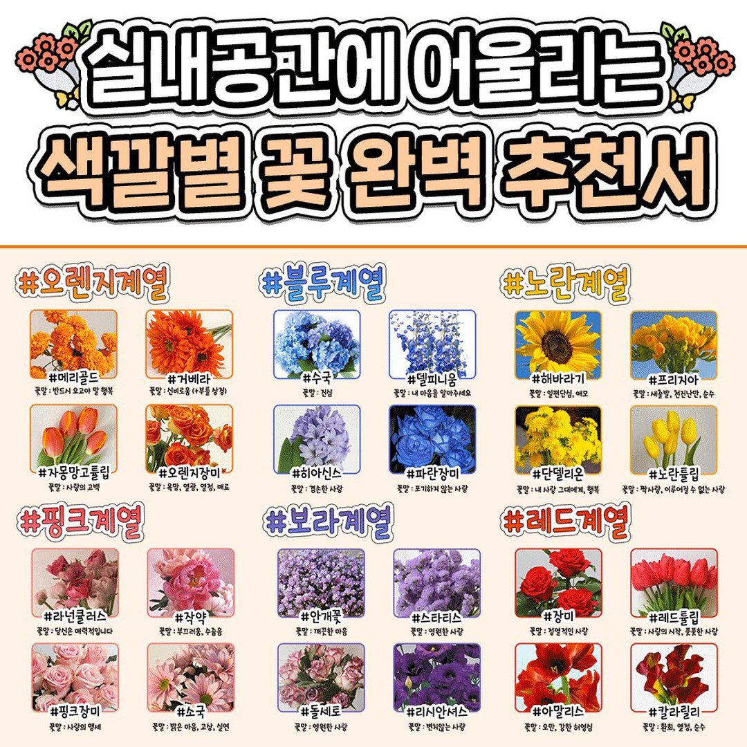 자취방에 두기 좋은 색깔별 꽃 추천