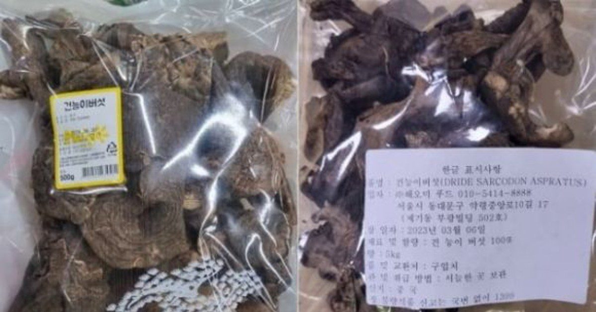 "능이버섯 가짜였다"…식약처, 중국산 식용불가 능이 적발
